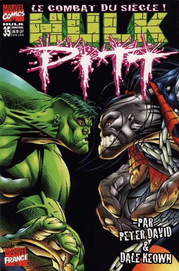 Hulk (Vol 1) Version Intgrale nº35 - Le combat du sicle! Pitt
