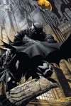 Batman Universe (2010-2011) nº5 - Le réveil - Variant
