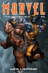 Marvel - Les Grandes sagas - Wolverine