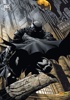 Batman Universe (2010-2011) nº5 - Le rveil - Variant