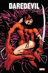 Marvel Icons - Daredevil par Frank Miller 2