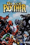 Marvel Select - Black Panther Tome 2 - Châtiment