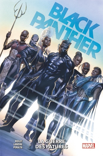 100% Marvel - Black Panther - Tome 2 - La guerre des ptures