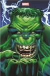 Marvel Omnibus - Immortal Hulk - Tome 1 - Exclu Panini