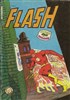 Flash nº11