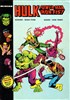 Hulk HS nº1 - Hulk, Power Man et Iron Fist