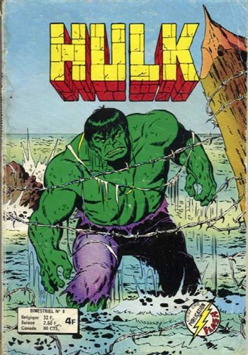 Hulk - Pocket NB nº8