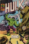Hulk - Pocket NB nº14