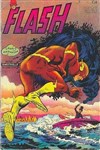 Flash (Pop Magazine) nº5 - Flash 5