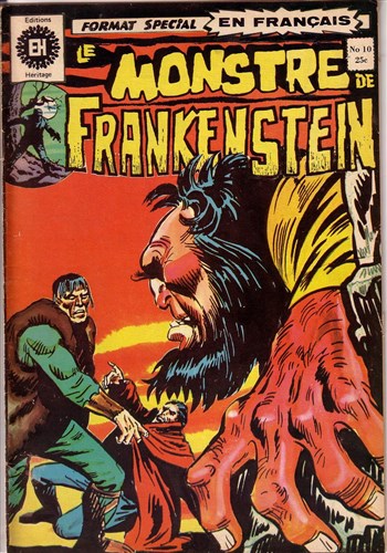 Le monstre de Frankenstein nº10