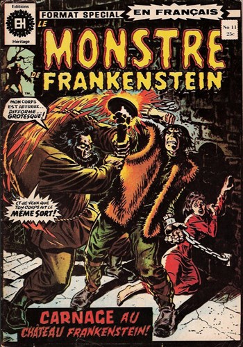 Le monstre de Frankenstein nº11