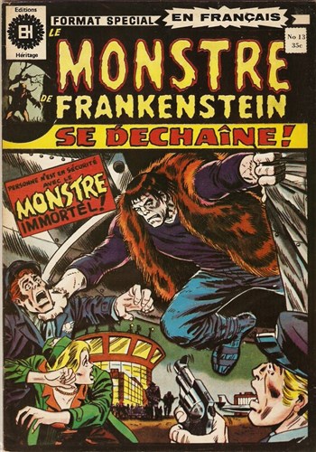 Le monstre de Frankenstein nº13
