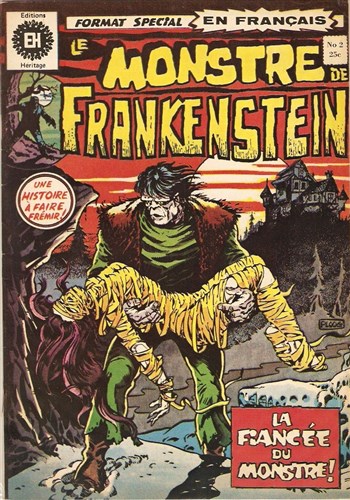 Le monstre de Frankenstein nº2