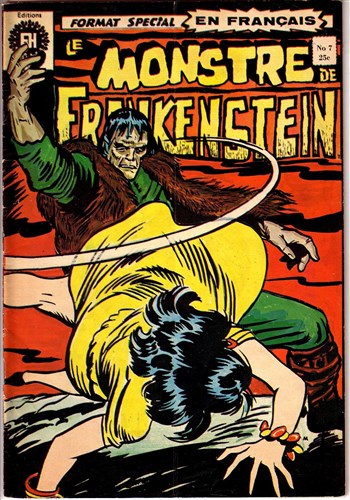 Le monstre de Frankenstein nº7