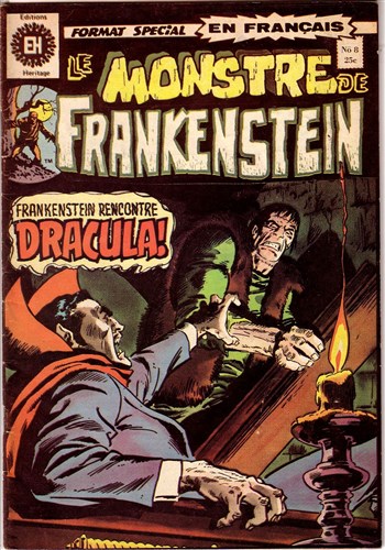 Le monstre de Frankenstein nº8