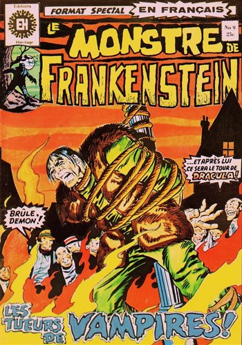 Le monstre de Frankenstein nº9