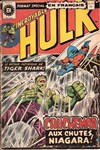 L'Incroyable Hulk nº19