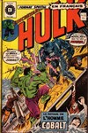 L'Incroyable Hulk nº32