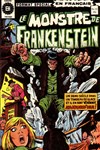 Le monstre de Frankenstein nº12