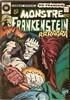 Le monstre de Frankenstein nº14