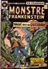 Le monstre de Frankenstein nº15