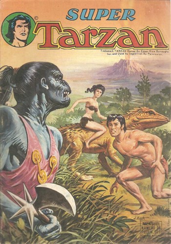 Super Tarzan - srie 1 nº29
