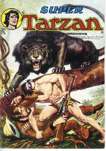 Super Tarzan - srie 1 nº34